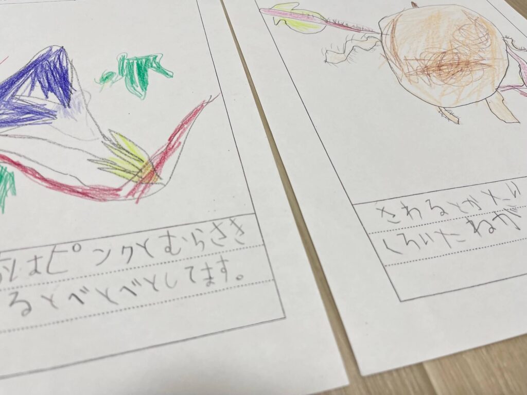 小学１年生　夏休みの宿題内容