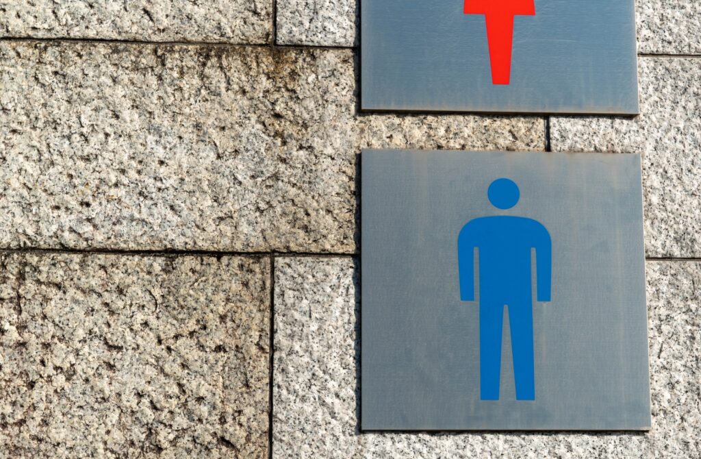 折りたたみ補助便座のおすすめ!外出先や家で大活躍【トイトレママ必見】